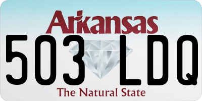 AR license plate 503LDQ