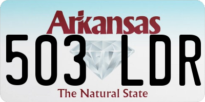 AR license plate 503LDR