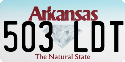 AR license plate 503LDT