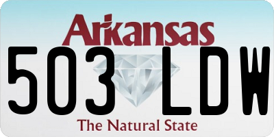 AR license plate 503LDW