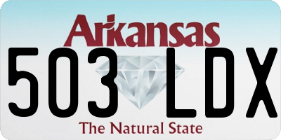 AR license plate 503LDX