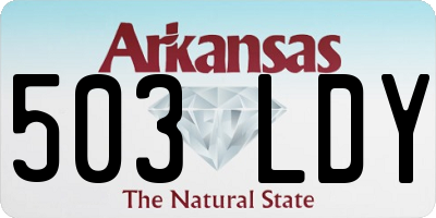 AR license plate 503LDY