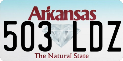 AR license plate 503LDZ