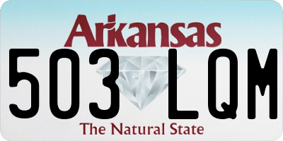 AR license plate 503LQM