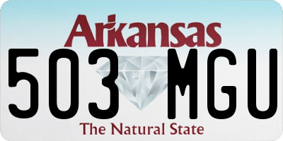 AR license plate 503MGU