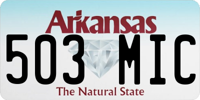 AR license plate 503MIC