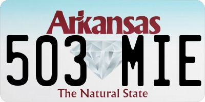 AR license plate 503MIE