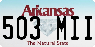 AR license plate 503MII
