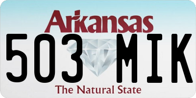 AR license plate 503MIK