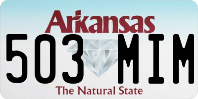 AR license plate 503MIM
