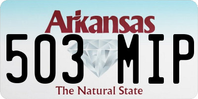 AR license plate 503MIP