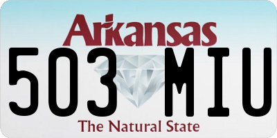 AR license plate 503MIU