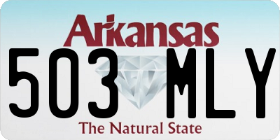 AR license plate 503MLY
