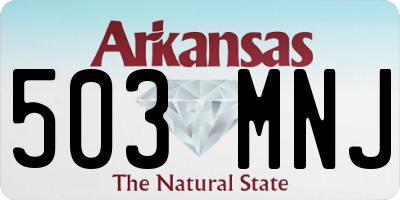 AR license plate 503MNJ