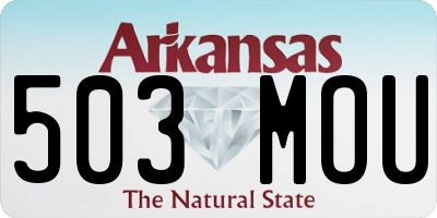 AR license plate 503MOU