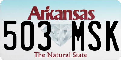 AR license plate 503MSK