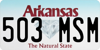 AR license plate 503MSM
