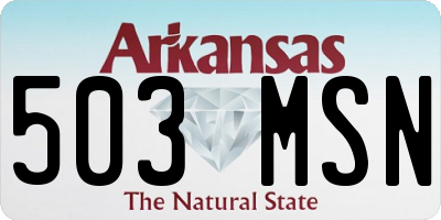 AR license plate 503MSN