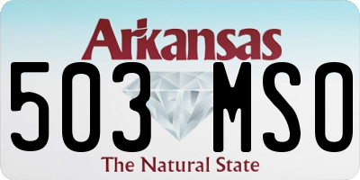 AR license plate 503MSO