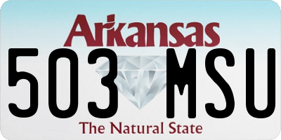 AR license plate 503MSU