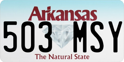 AR license plate 503MSY