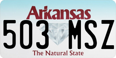 AR license plate 503MSZ