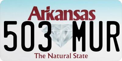 AR license plate 503MUR