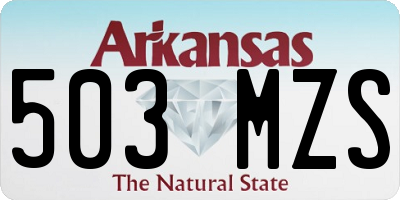 AR license plate 503MZS