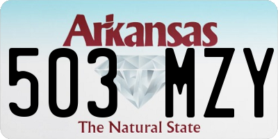 AR license plate 503MZY