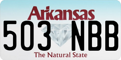 AR license plate 503NBB