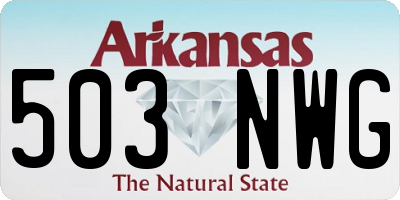 AR license plate 503NWG
