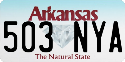 AR license plate 503NYA