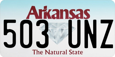AR license plate 503UNZ