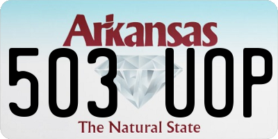 AR license plate 503UOP