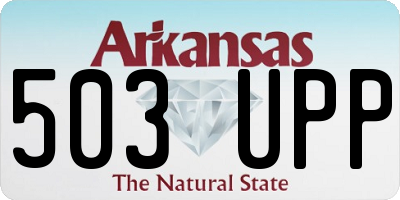 AR license plate 503UPP