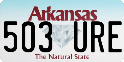 AR license plate 503URE