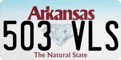 AR license plate 503VLS
