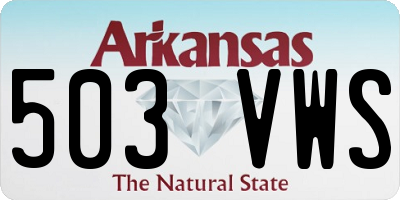 AR license plate 503VWS