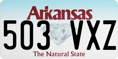 AR license plate 503VXZ