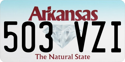 AR license plate 503VZI