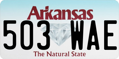 AR license plate 503WAE