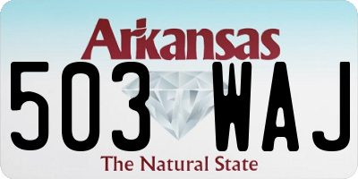 AR license plate 503WAJ