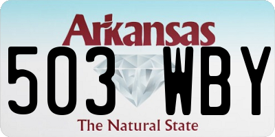AR license plate 503WBY