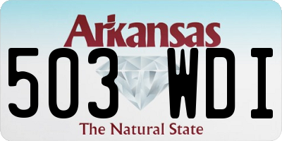 AR license plate 503WDI