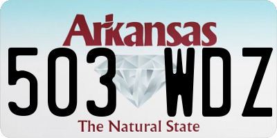 AR license plate 503WDZ