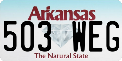 AR license plate 503WEG