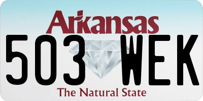 AR license plate 503WEK