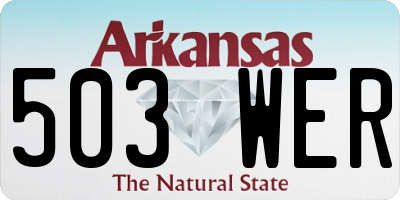 AR license plate 503WER