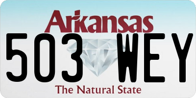 AR license plate 503WEY