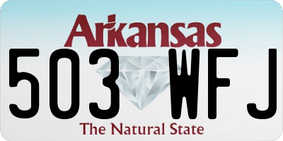 AR license plate 503WFJ